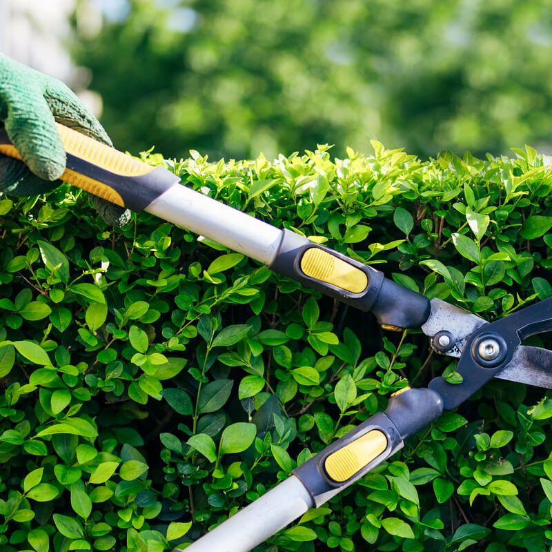 RVU-Regeling Hoveniersbedrijf