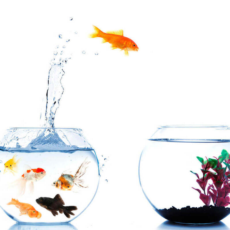 Loopbaancoaching iets voor mij?