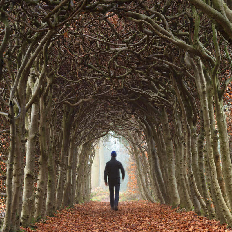 'Met mijn diploma's wilden ze me graag hebben.'