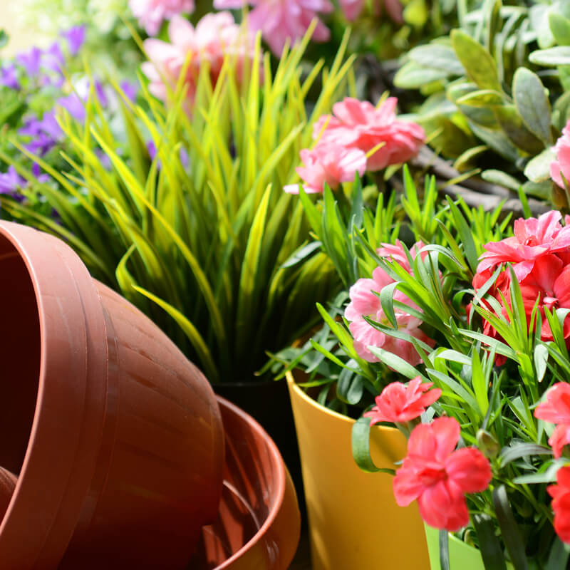 Onderhandelingsresultaat cao Detailhandel in Bloemen en Planten