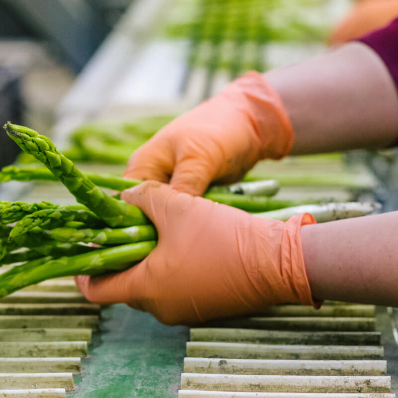 Onderhandelingsresultaat cao Uitzendkrachten