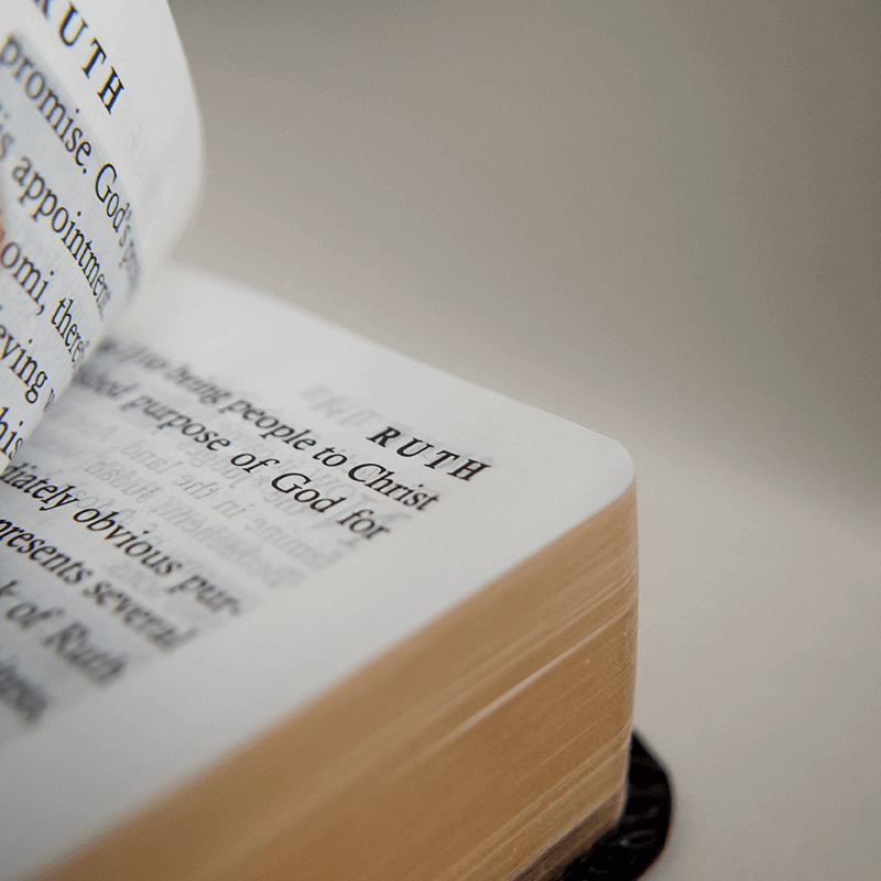 Waardevol leven #2. Het leven van Ruth
