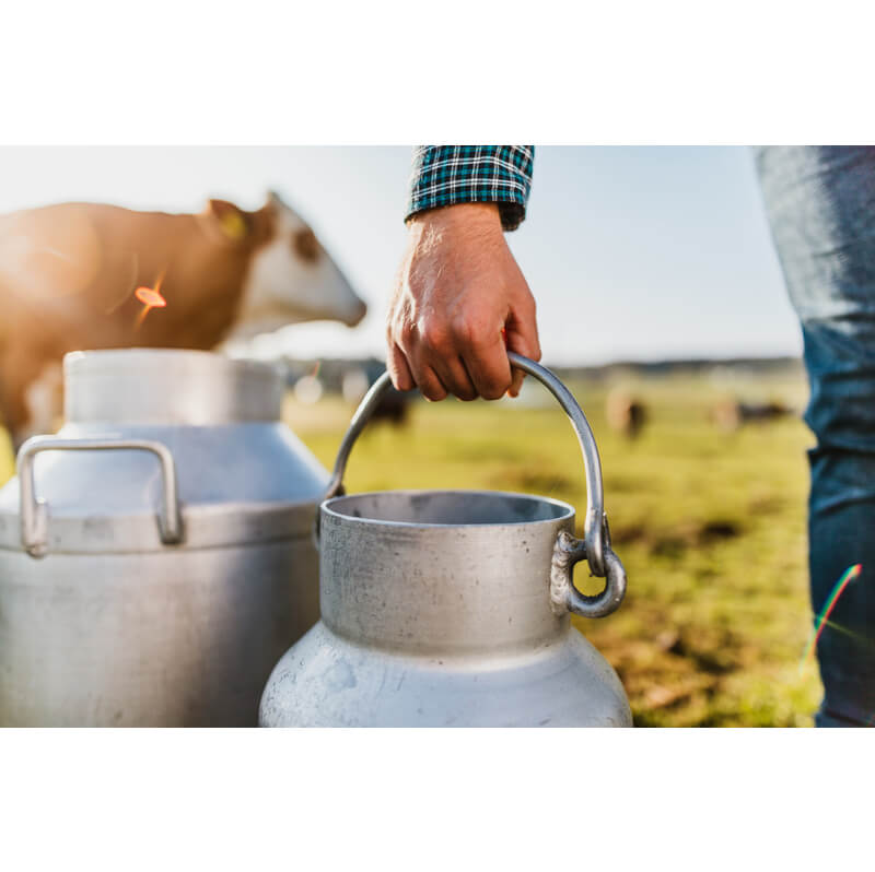 Melkveehouder in turbulente samenleving 